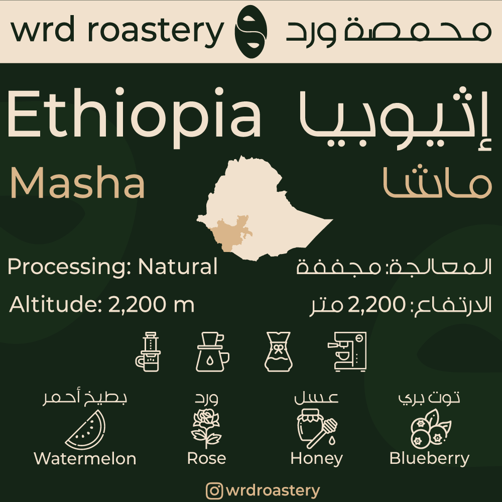 Masha - Natural Process - Ethiopia | ماشا - معالجة مجففة - إثيوبيا